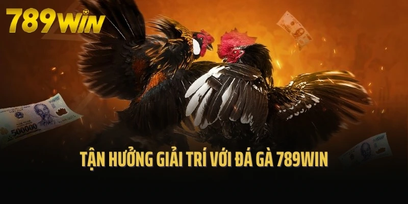 Tận hưởng giải trí với đá gà 789Win