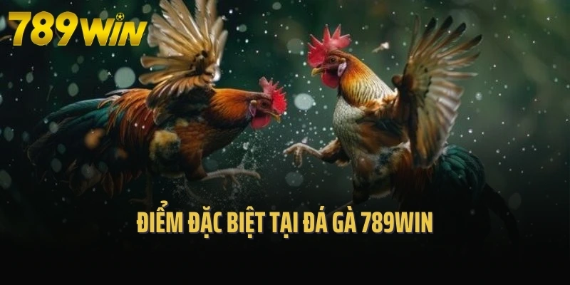 Điểm đặc biệt tại đá gà 789Win
