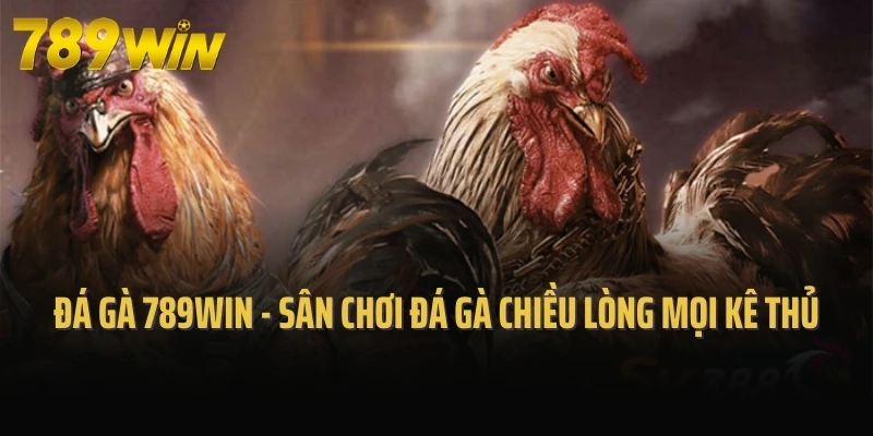 Đá gà 789win