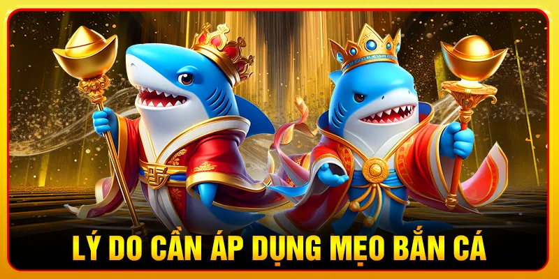 Lý do cần áp dụng mẹo bắn cá